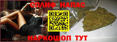 МДПВ Партизанск