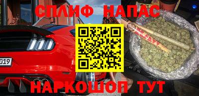 МДПВ Партизанск