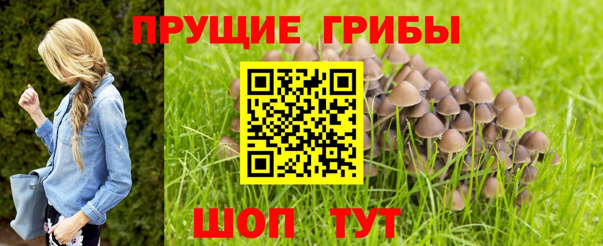 Галлюциногенные грибы мицелий  Вход с VPN  Нягань  Галлюциногенные грибы Cubensis 